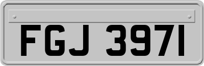 FGJ3971