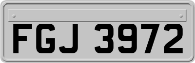 FGJ3972