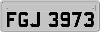 FGJ3973