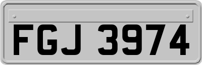 FGJ3974