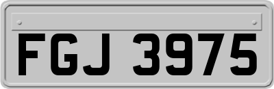 FGJ3975