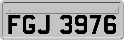 FGJ3976