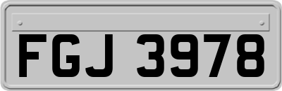 FGJ3978