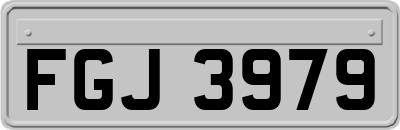 FGJ3979