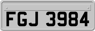 FGJ3984