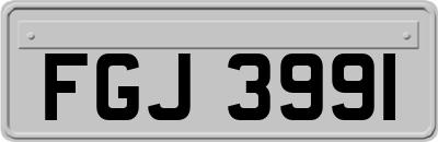 FGJ3991