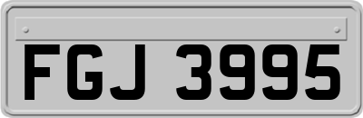 FGJ3995