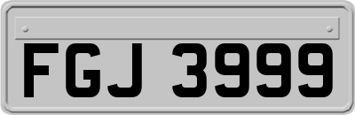 FGJ3999