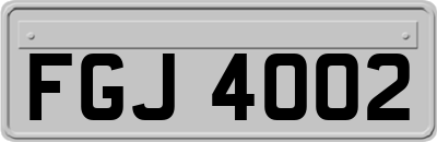 FGJ4002
