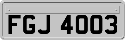 FGJ4003