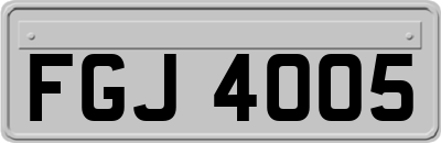 FGJ4005