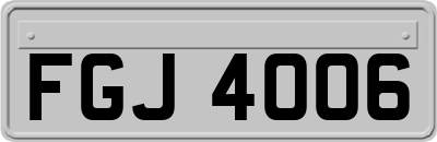 FGJ4006
