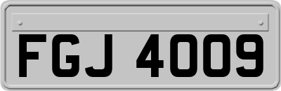 FGJ4009