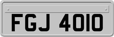 FGJ4010
