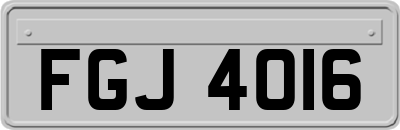 FGJ4016