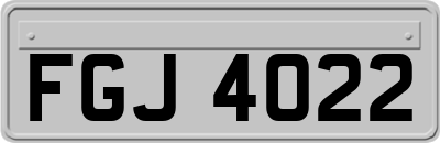 FGJ4022