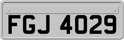 FGJ4029