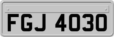 FGJ4030