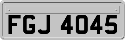 FGJ4045