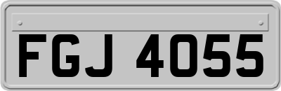 FGJ4055