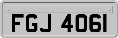 FGJ4061