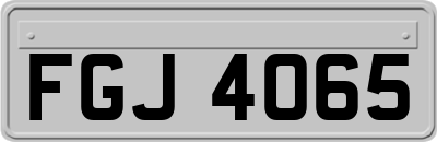 FGJ4065