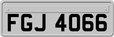 FGJ4066
