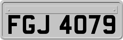 FGJ4079