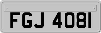 FGJ4081