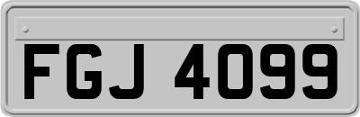 FGJ4099