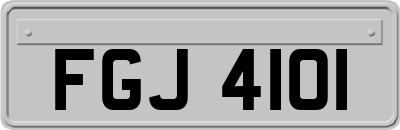 FGJ4101