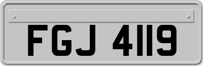 FGJ4119