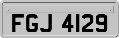 FGJ4129
