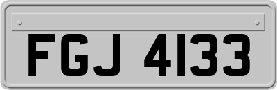 FGJ4133