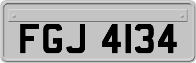 FGJ4134