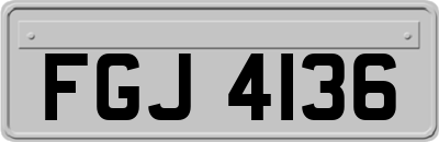 FGJ4136