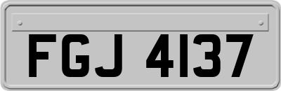 FGJ4137