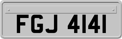 FGJ4141