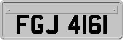 FGJ4161
