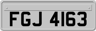 FGJ4163