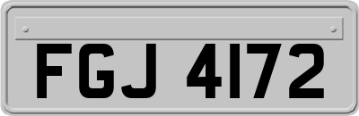 FGJ4172