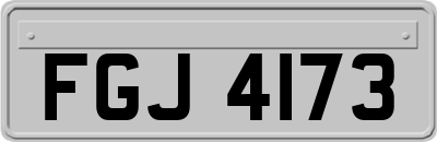 FGJ4173