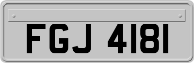 FGJ4181