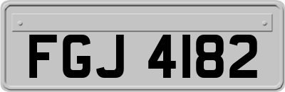 FGJ4182