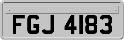 FGJ4183