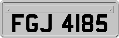 FGJ4185