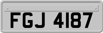 FGJ4187