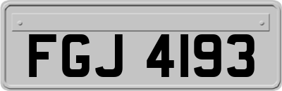 FGJ4193