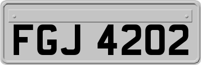FGJ4202