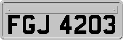 FGJ4203